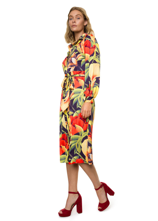 Button Down Long Sleeve Shirt Dress (Print)